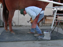 good shoeing is important